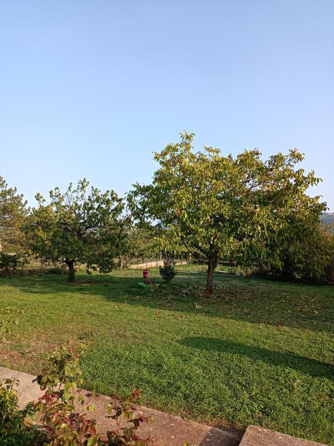 Apartman Biba Labin  Zewnętrze zdjęcie